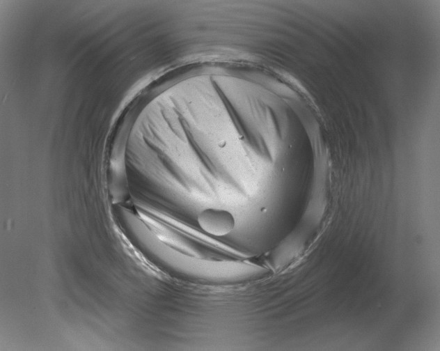 X0000080741122200701051137