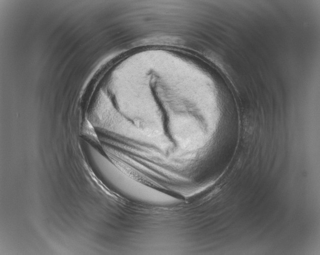 X0000080741123200701051137