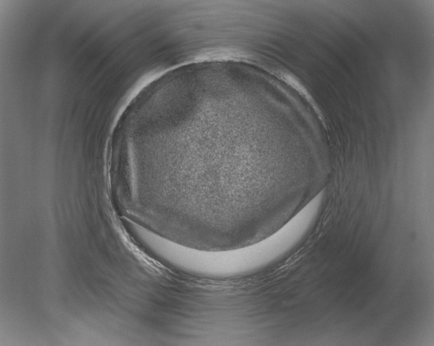 X0000080741124200701051137