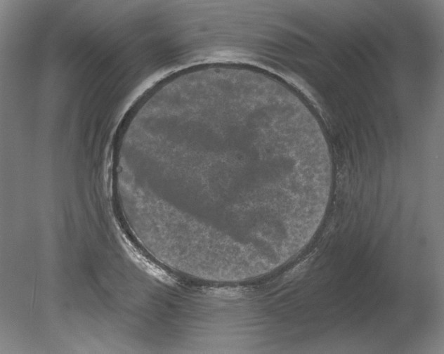 X0000080741126200701051137