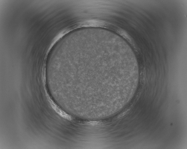 X0000080741130200701051137