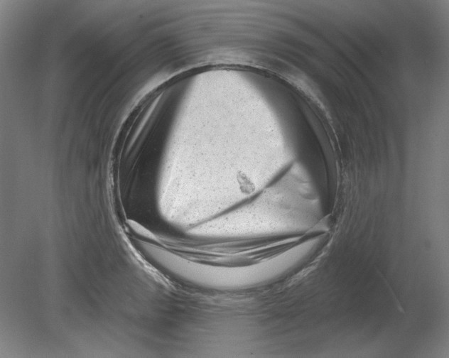 X0000080741133200701051137