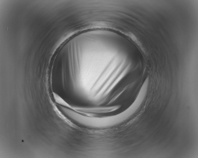 X0000080741134200701051137