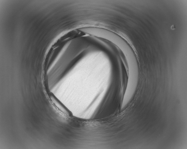 X0000080741136200701051137