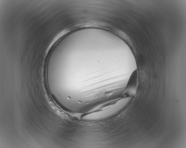 X0000080741138200701051138