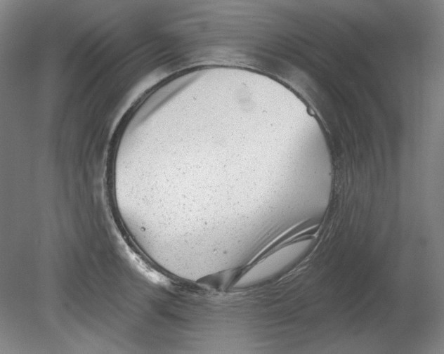 X0000080741139200701051138