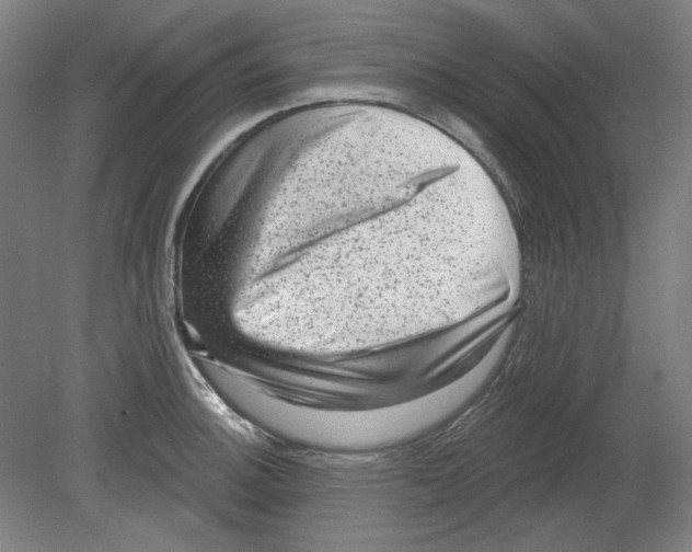 X0000080741140200701051138