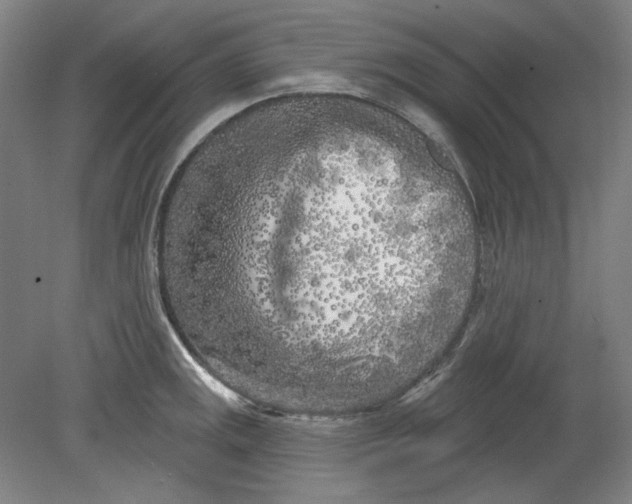 X0000080741141200701051138