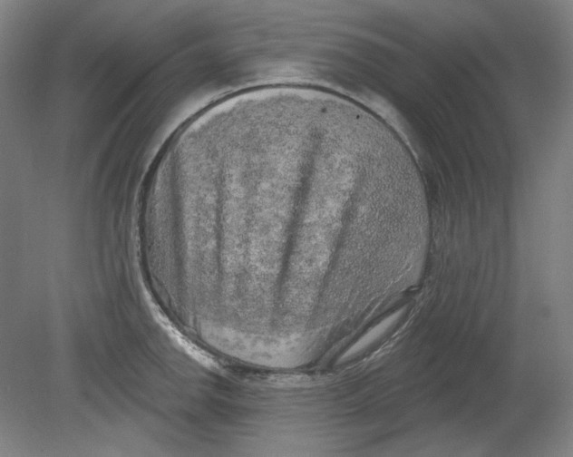 X0000080741142200701051138