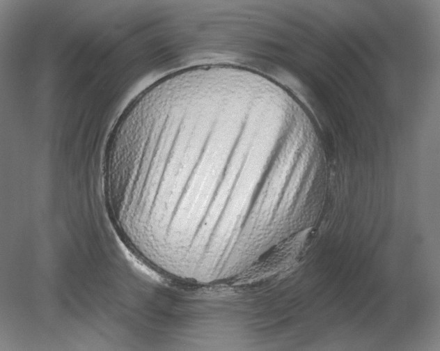 X0000080741143200701051138