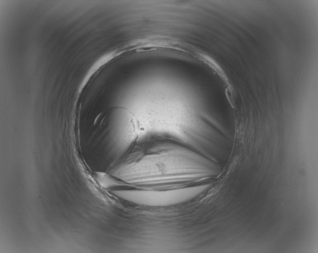 X0000080741146200701051138