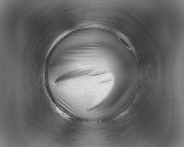 X0000080741149200701051138