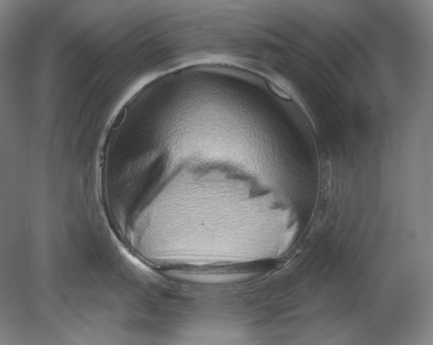 X0000080741151200701051138