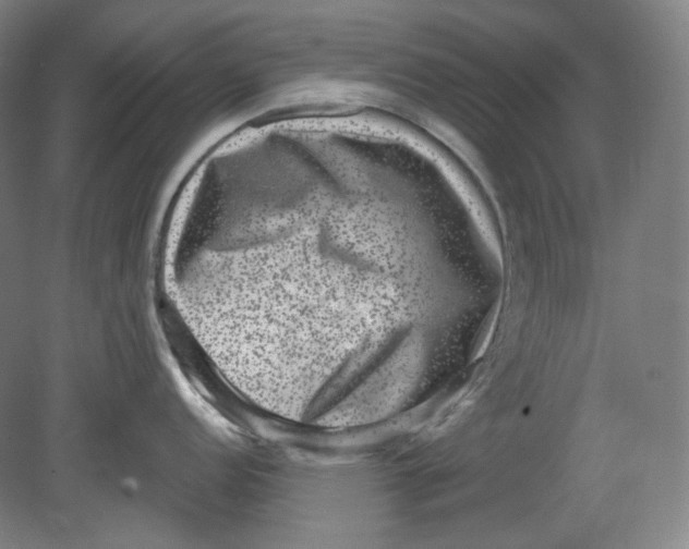 X0000080741152200701051138