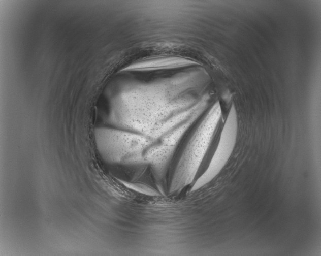 X0000080741153200701051137