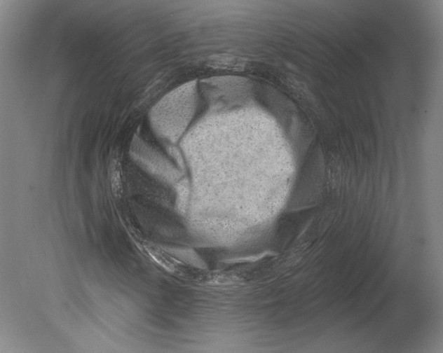 X0000080741154200701051137