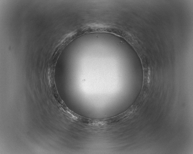 X0000080741157200701051137