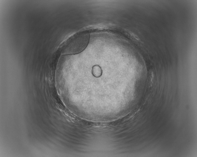 X0000080741158200701051137