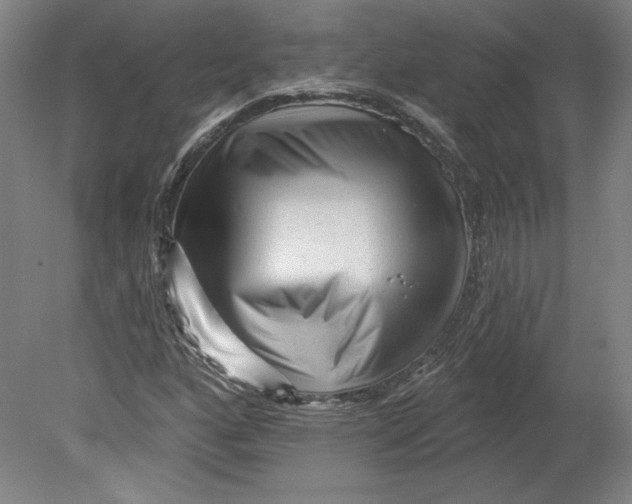 X0000080741160200701051137