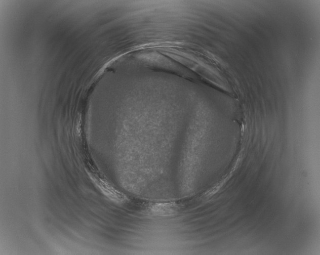 X0000080741161200701051137