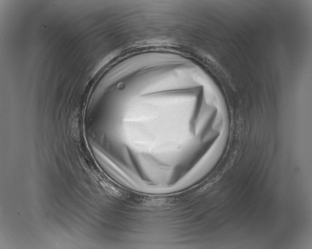 X0000080741162200701051137