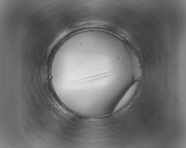 X0000080741164200701051137