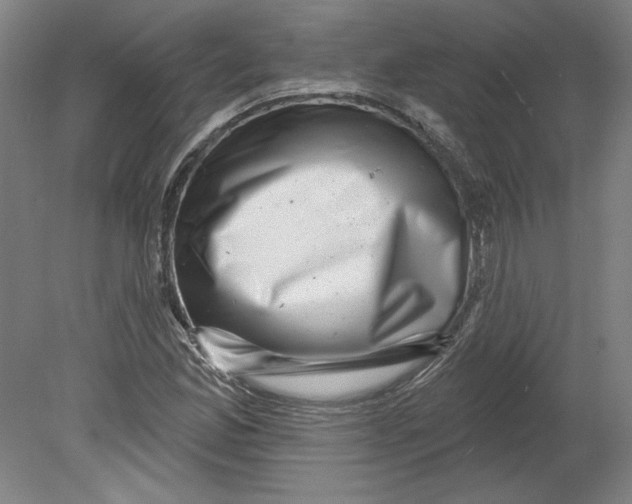 X0000080741165200701051137