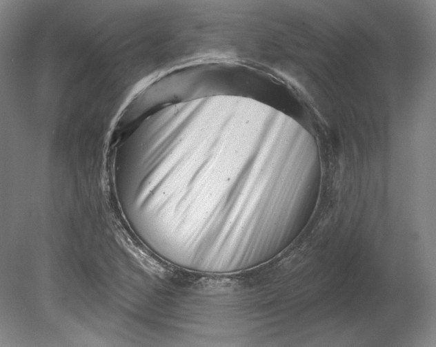 X0000080741168200701051137