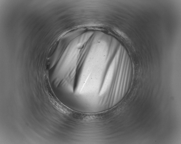 X0000080741169200701051137