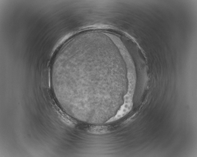 X0000080741171200701051137