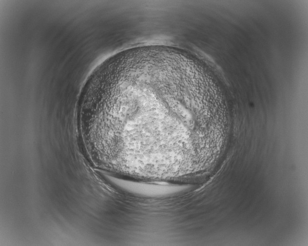 X0000080741174200701051137