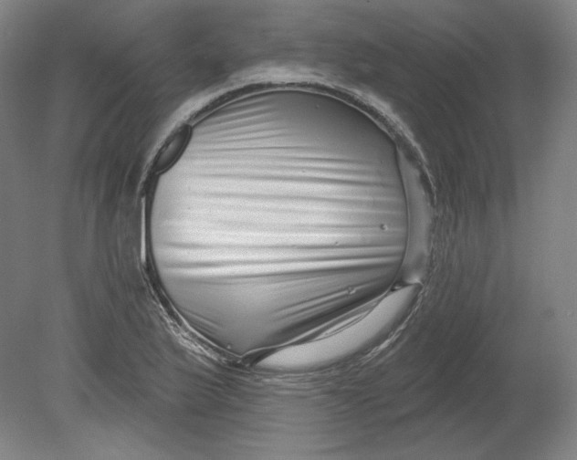 X0000080741175200701051137