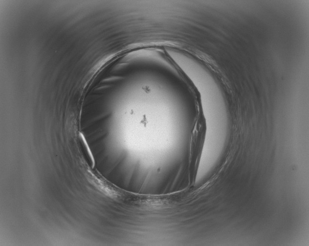 X0000080741177200701051137