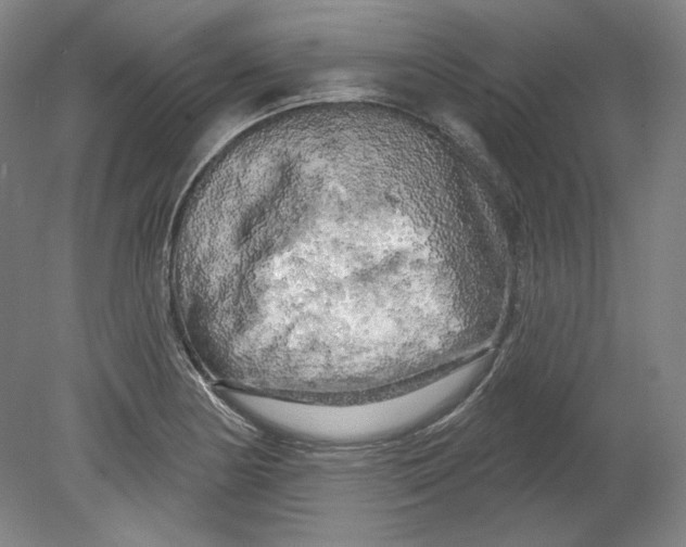 X0000080741178200701051137