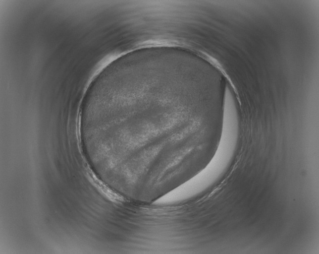 X0000080741179200701051136