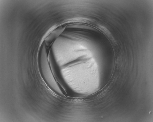 X0000080741180200701051136