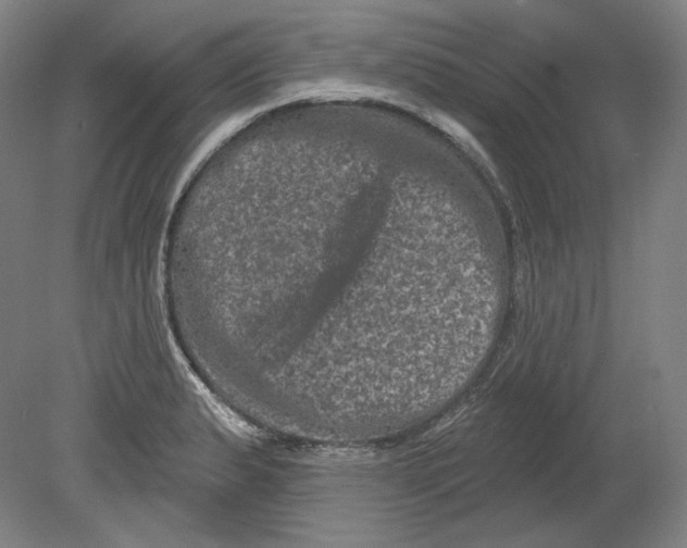 X0000080741183200701051136