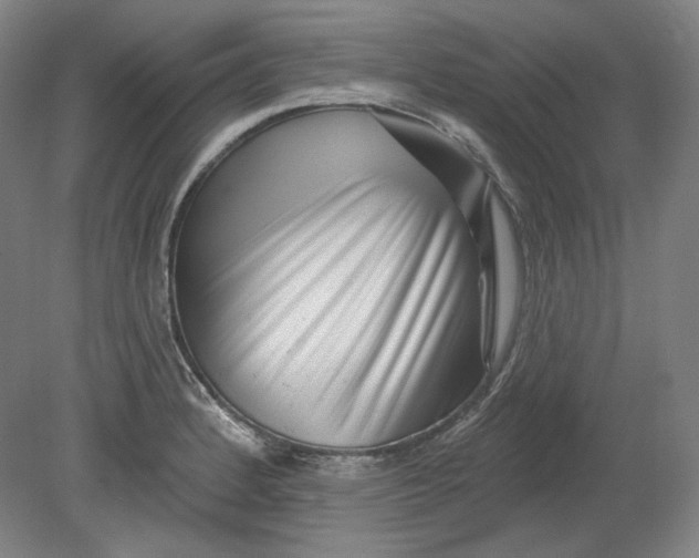 X0000080741184200701051136