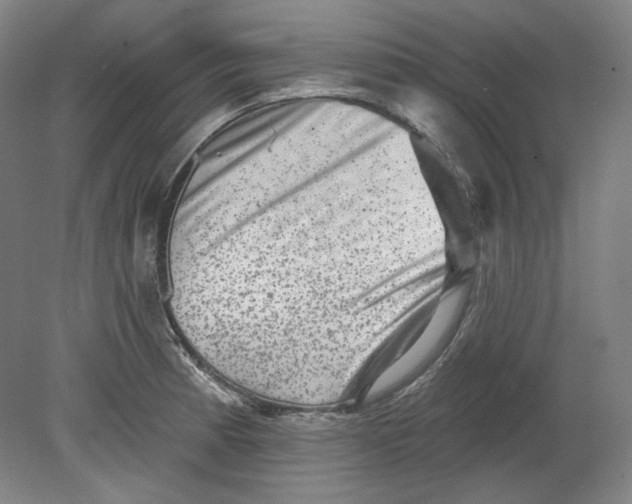 X0000080741185200701051136