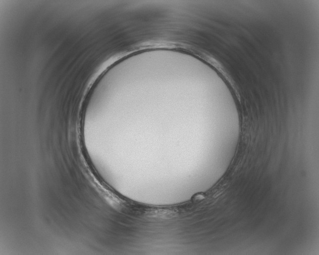 X0000080741187200701051136