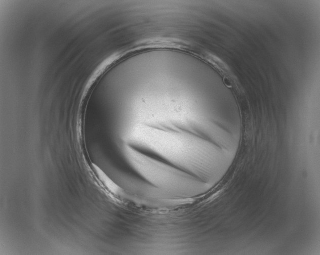 X0000080741188200701051136