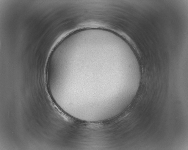 X0000080741191200701051136