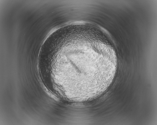 X0000080741194200701051136