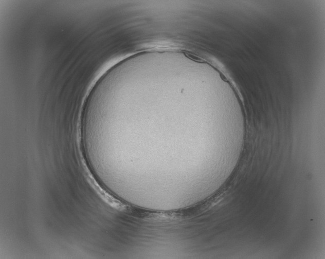 X0000080741195200701051136