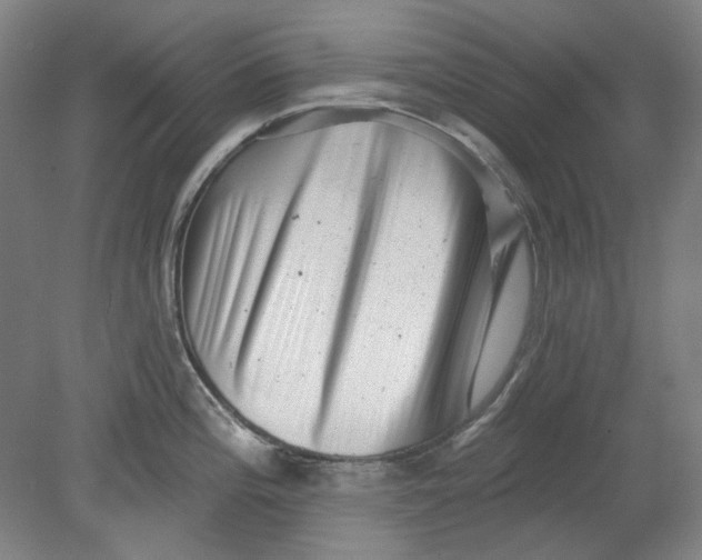 X0000080741196200701051136