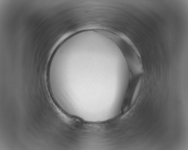 X0000080741197200701051136