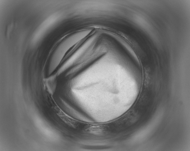 X0000080741198200701051136