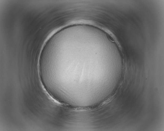 X0000080741199200701051136