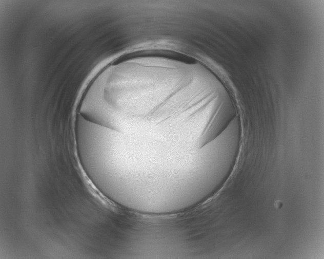 X0000080741200200701051136