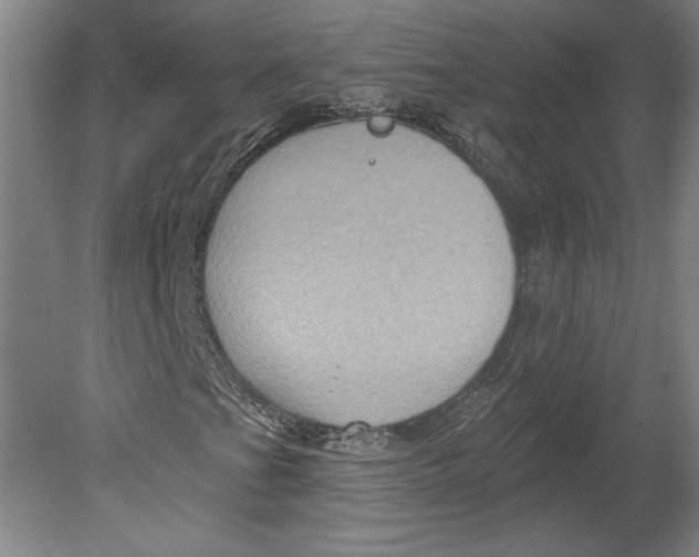 X0000080741201200701051135